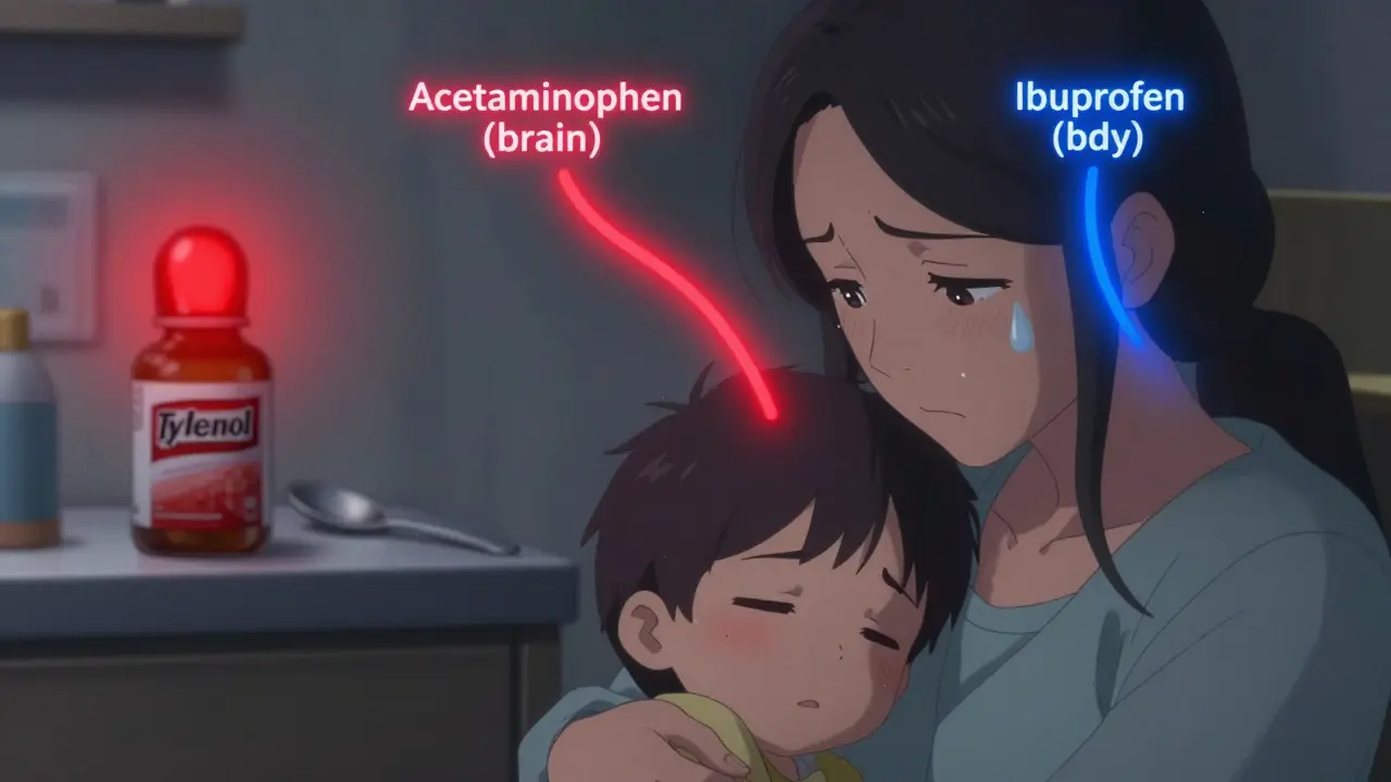 A parent holds a feverish child as glowing paths show how acetaminophen and ibuprofen work differently in the body.